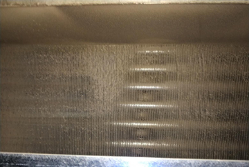 L(fng)C(j)PܳƬϴǰƬ